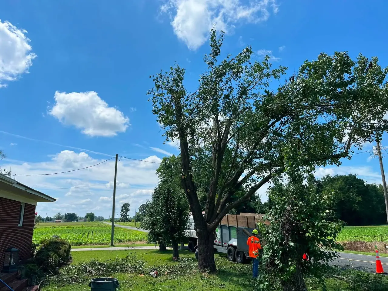 Completed tree work in Orrum, North Carolina