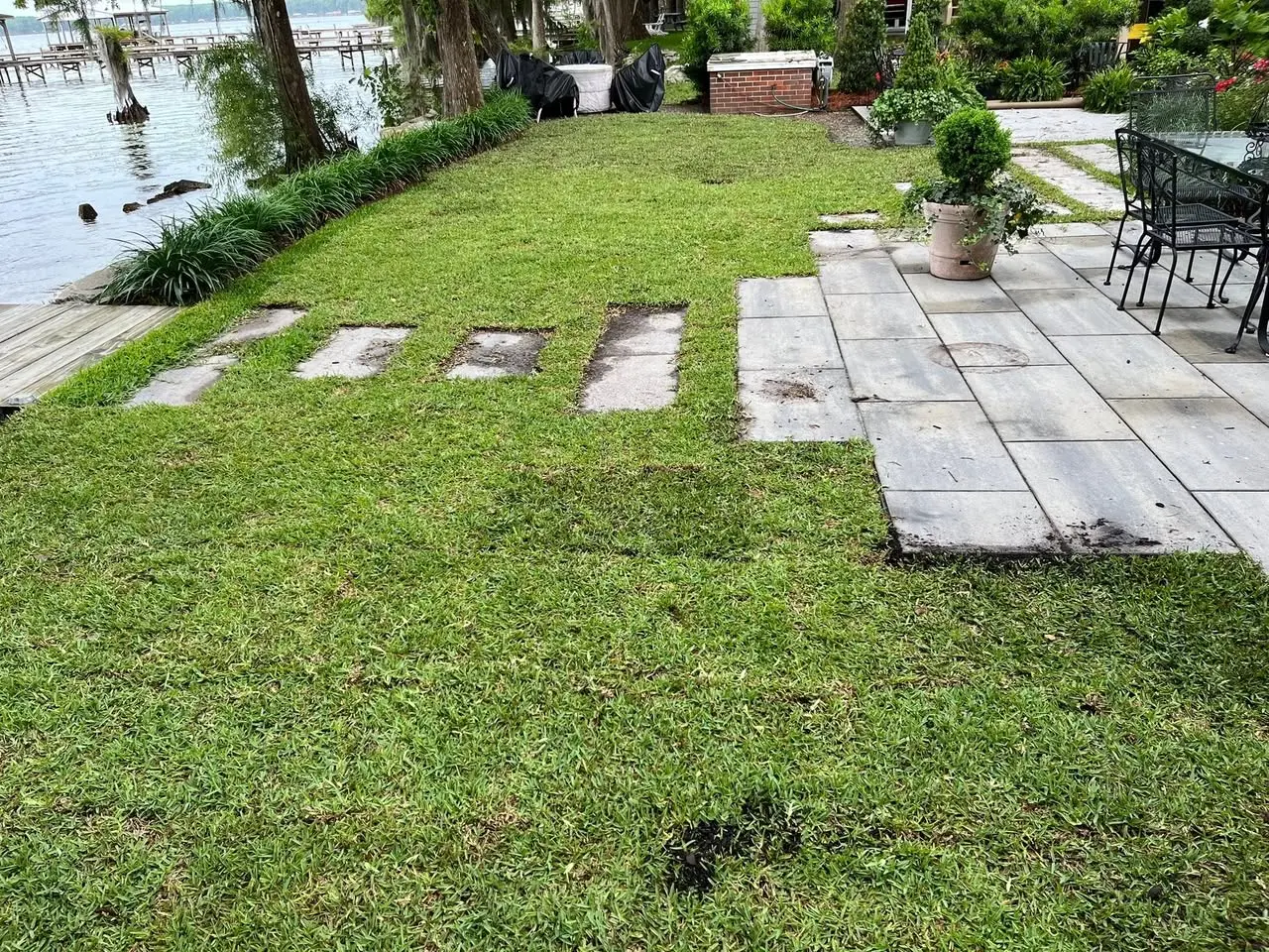 Completed sod around a garden path